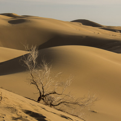 Khour va Biabanak Desert