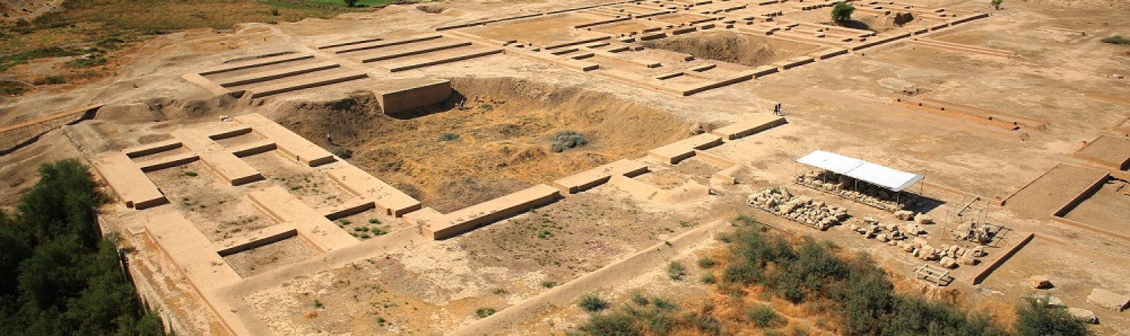 Apadana Palace