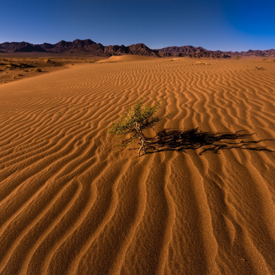 Akbarabad Dry Lake, Khosf