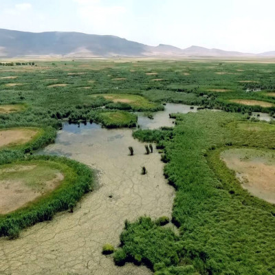 Hashlian Wetland