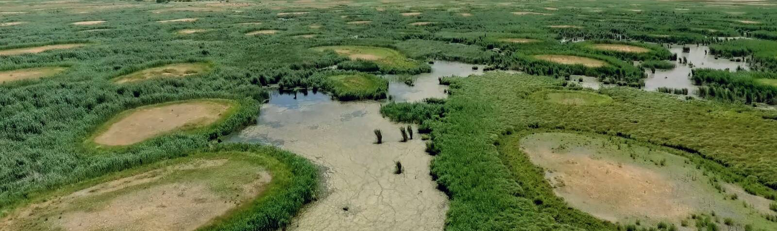 Hashlian Wetland