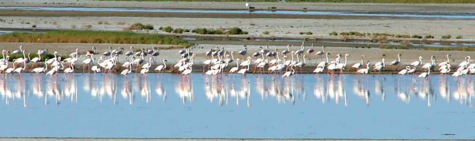 Laguna de Gav-Khooni