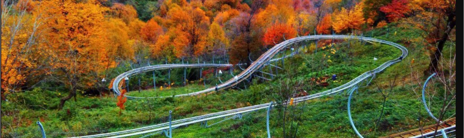 Talesh Sleigh