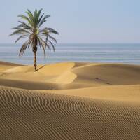 شاطئ دَرَک