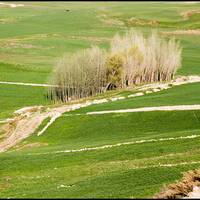 تونل کوهرنگ