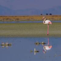 Maharloo Lake