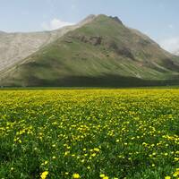 پارک ملی لار