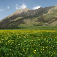Lar National Park