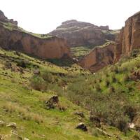 کول خرسان