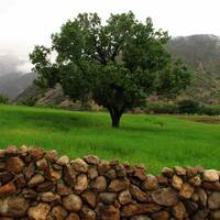 پارک های ملی دز و کرخه
