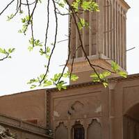 خانه لاریها
