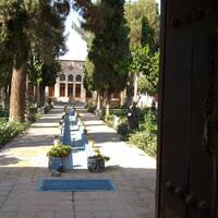 حیات موزه