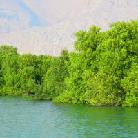 نایبند