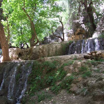لردگان