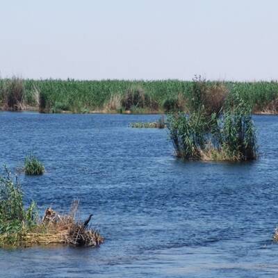 Huwaizah Marsh