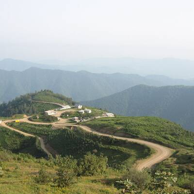 املش