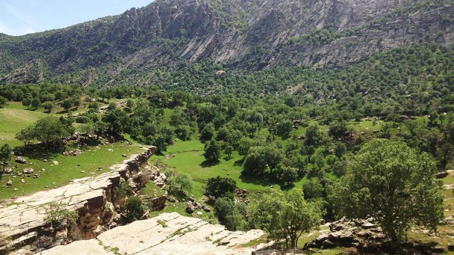 Tang-e (Gorge) Razianeh