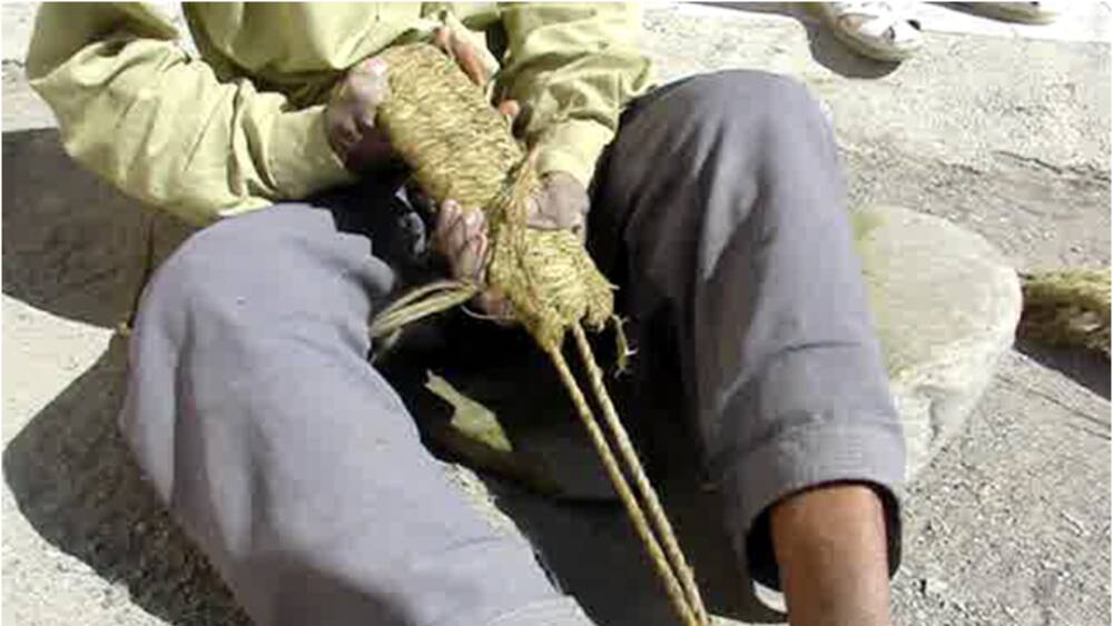 نسج السواس ((هرمزگان))
