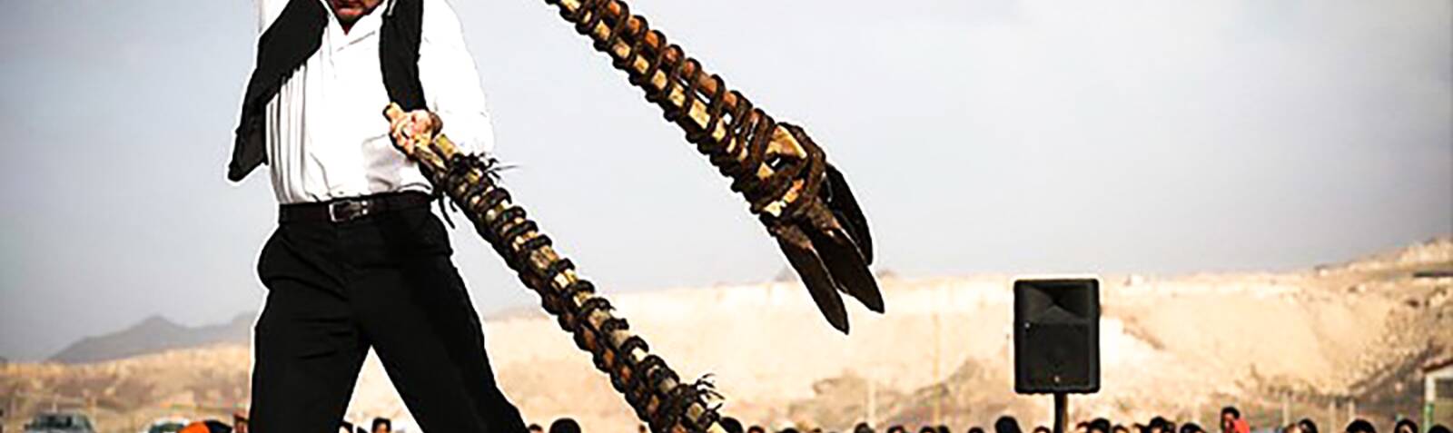 بیل گردانی