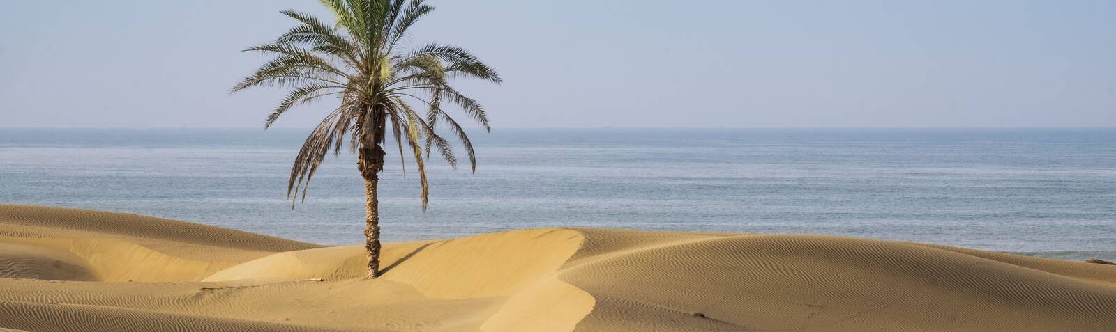 شاطئ دَرَک