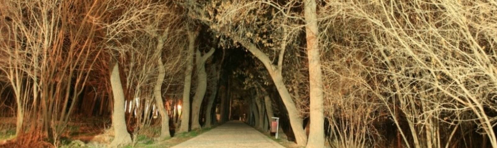 Shokat Abad Garden