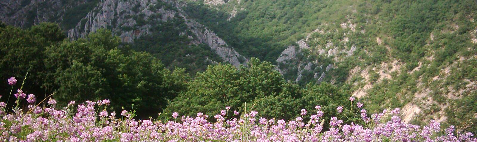Darkesh Tourism Area