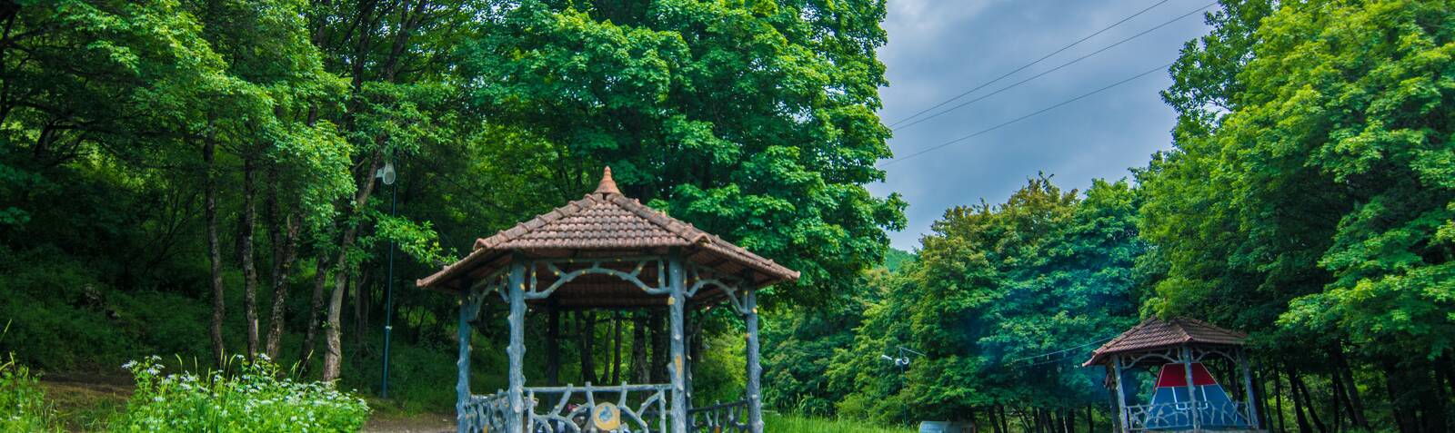 Makidi Forest Park in Kaleybar