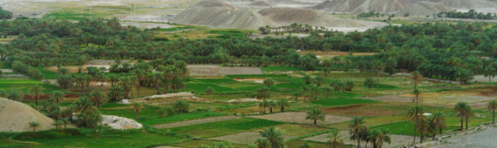 سیستان و بلوچستان 