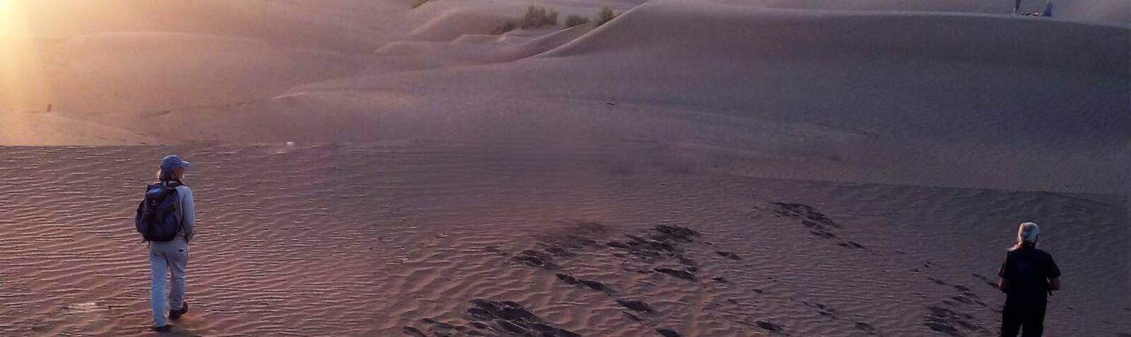 صحراء حلوان
