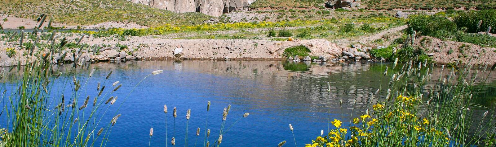 Shirvan Valley Wildlife Habitat (Darreh Si)