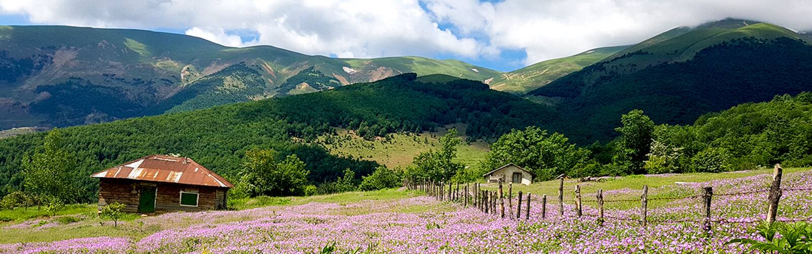 پیاده روی در بهشت