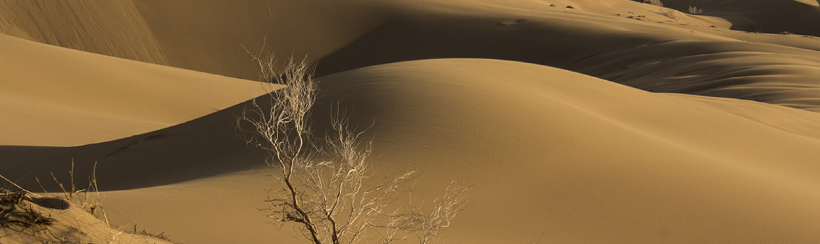 صحراء خور و بیابانک