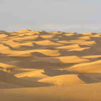 El Desierto de Mesr