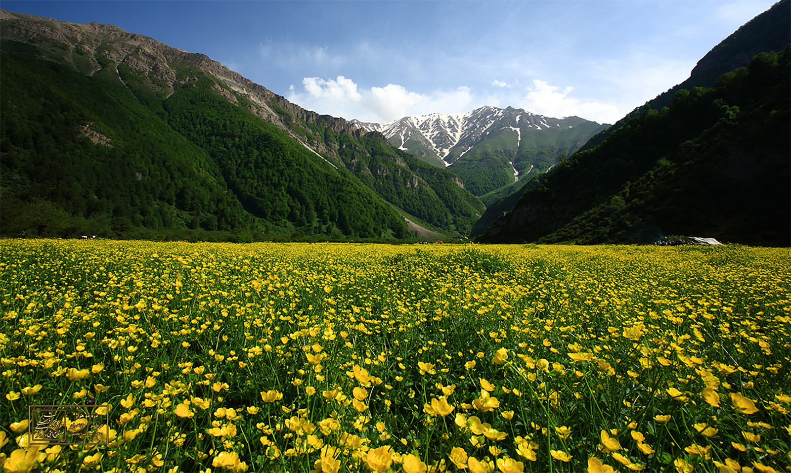 Llanura-de-Daryasar