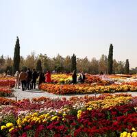 الحديقة الوطنية للنباتات في إيران