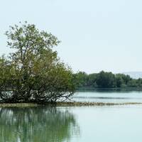 Bosque de Hara (manglares) de Qeshm