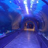 Grand Aquarium of Bandar Anzali