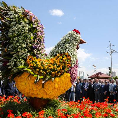 جشنواره گل در هلند ایران