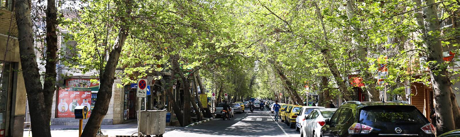 پیاده گردی در تهران دهه 40