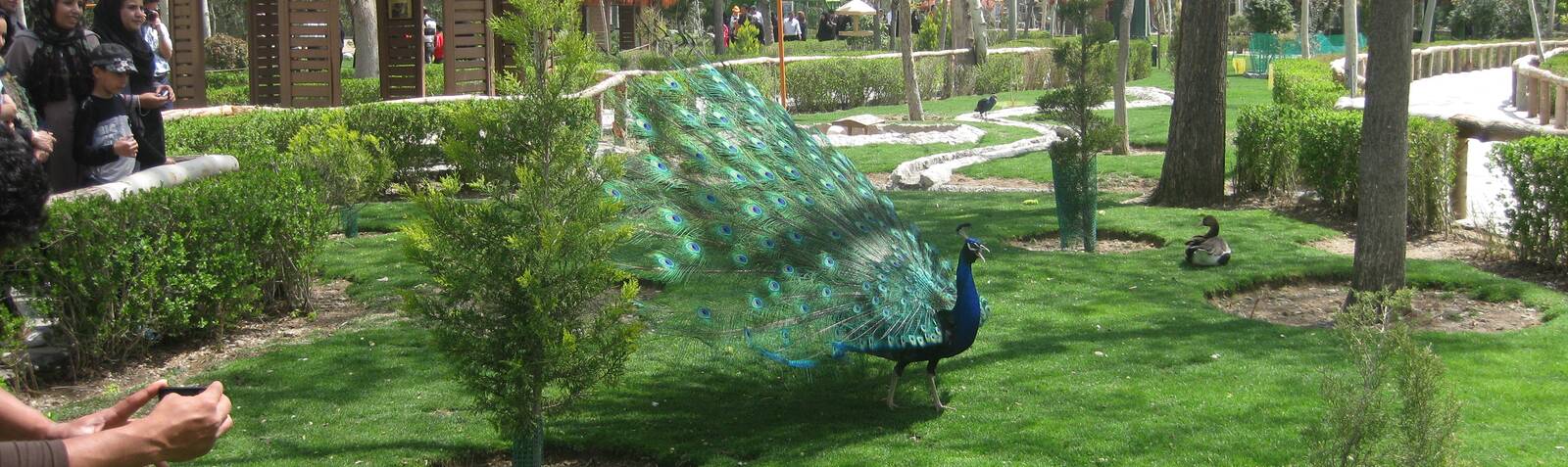 باغ پرندگان اصفهان 