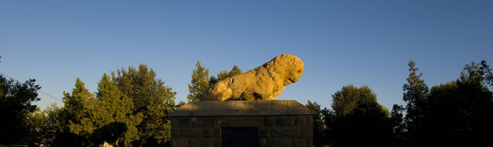 Каменная статуя льва